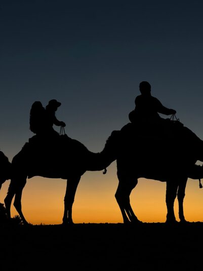 WhatsApp Image 2024-12-15 at 12.38.13_4efa7d2e